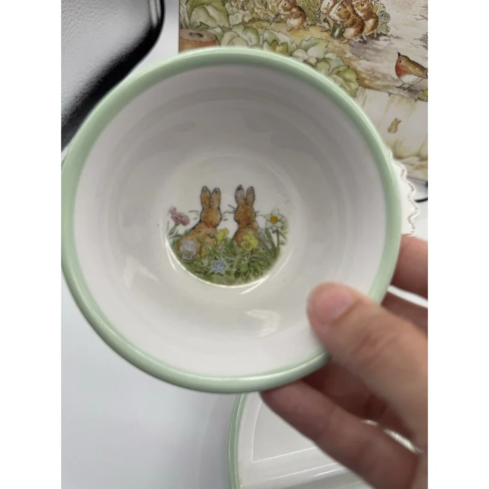 Pottery Barn Kids Beatrix Potter Peter Rabbit Plates Bowls Placemat Lot